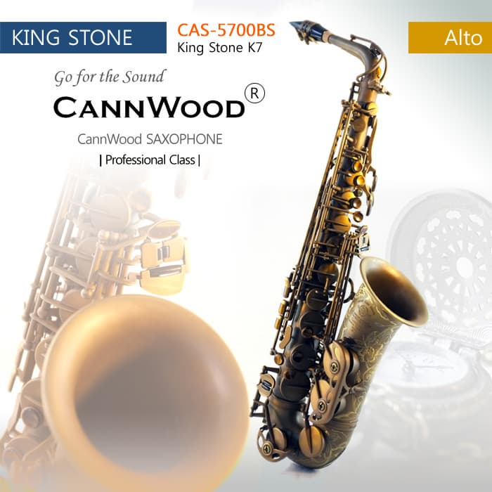 SAXOPHONE _ ALTO _CAS_5700BS King Stone K7_